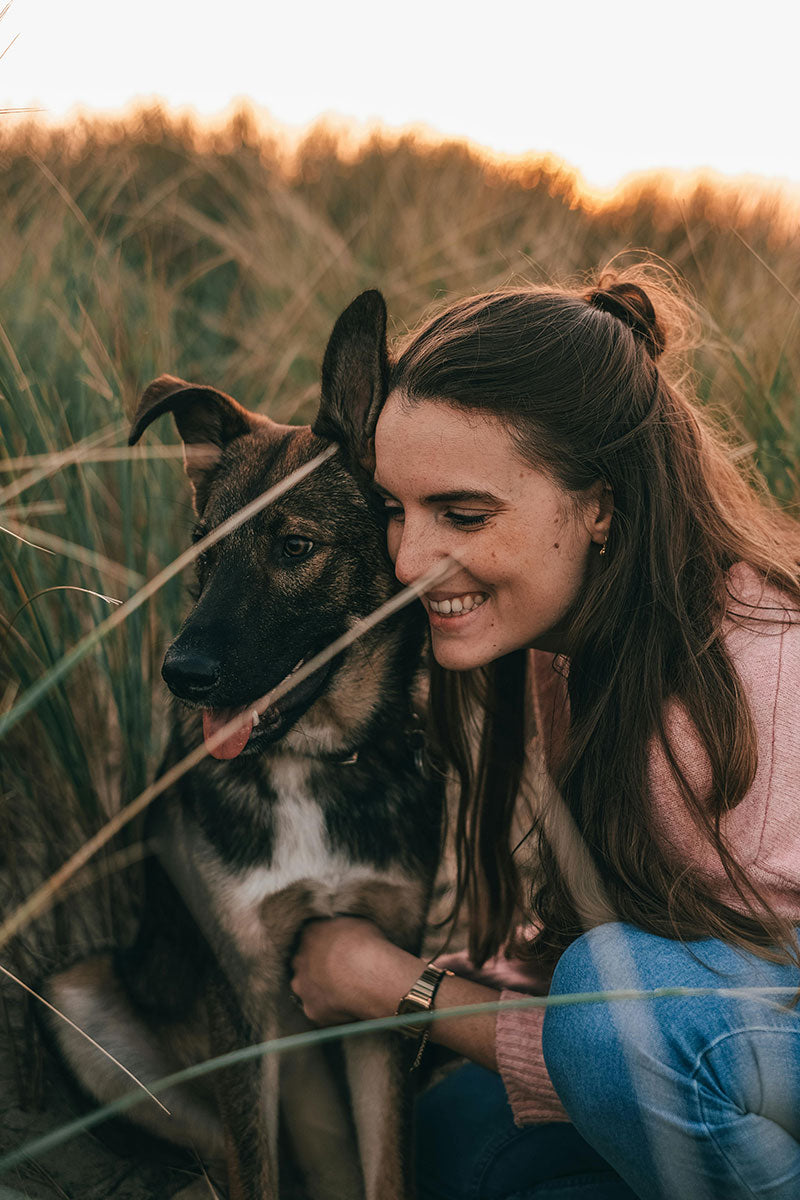 Why Whole Prey Raw Diets Are the Best Choice for Dogs and Cats in California