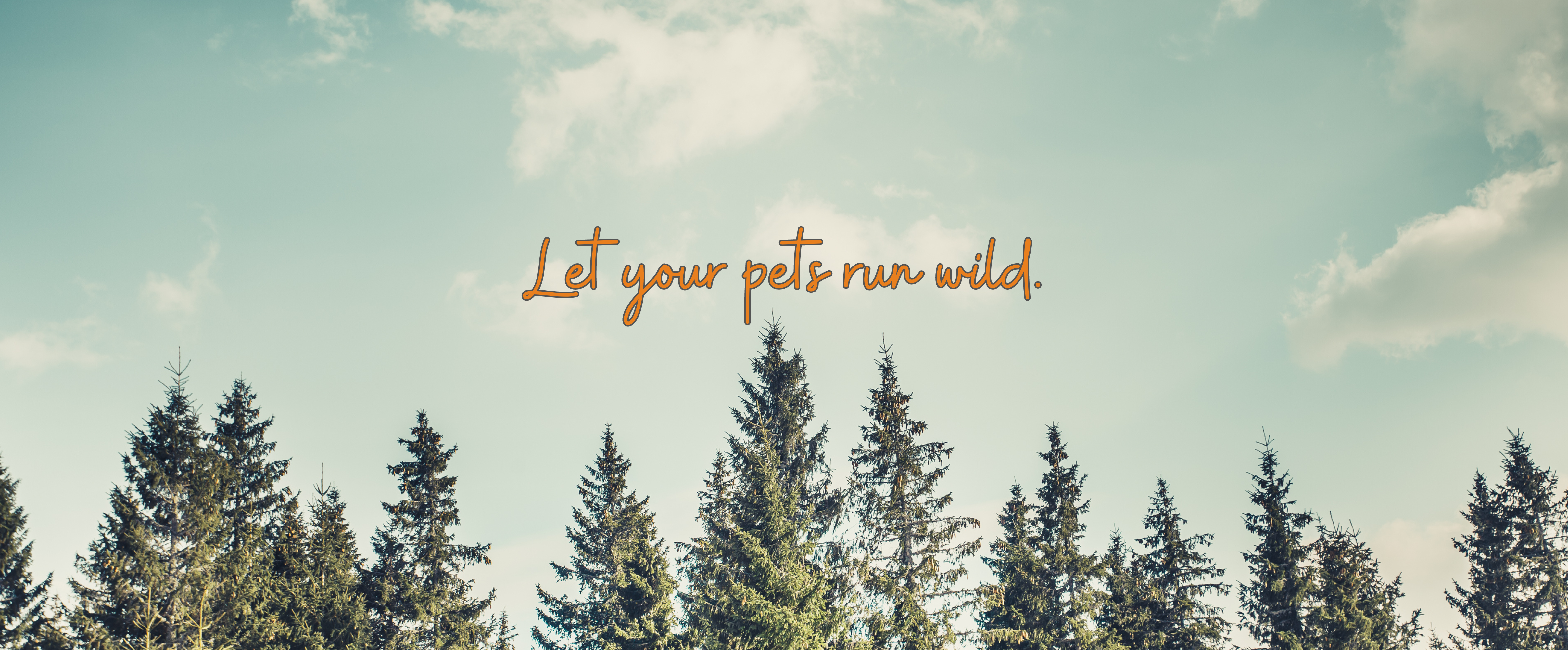 Pet Supplies & Accessories