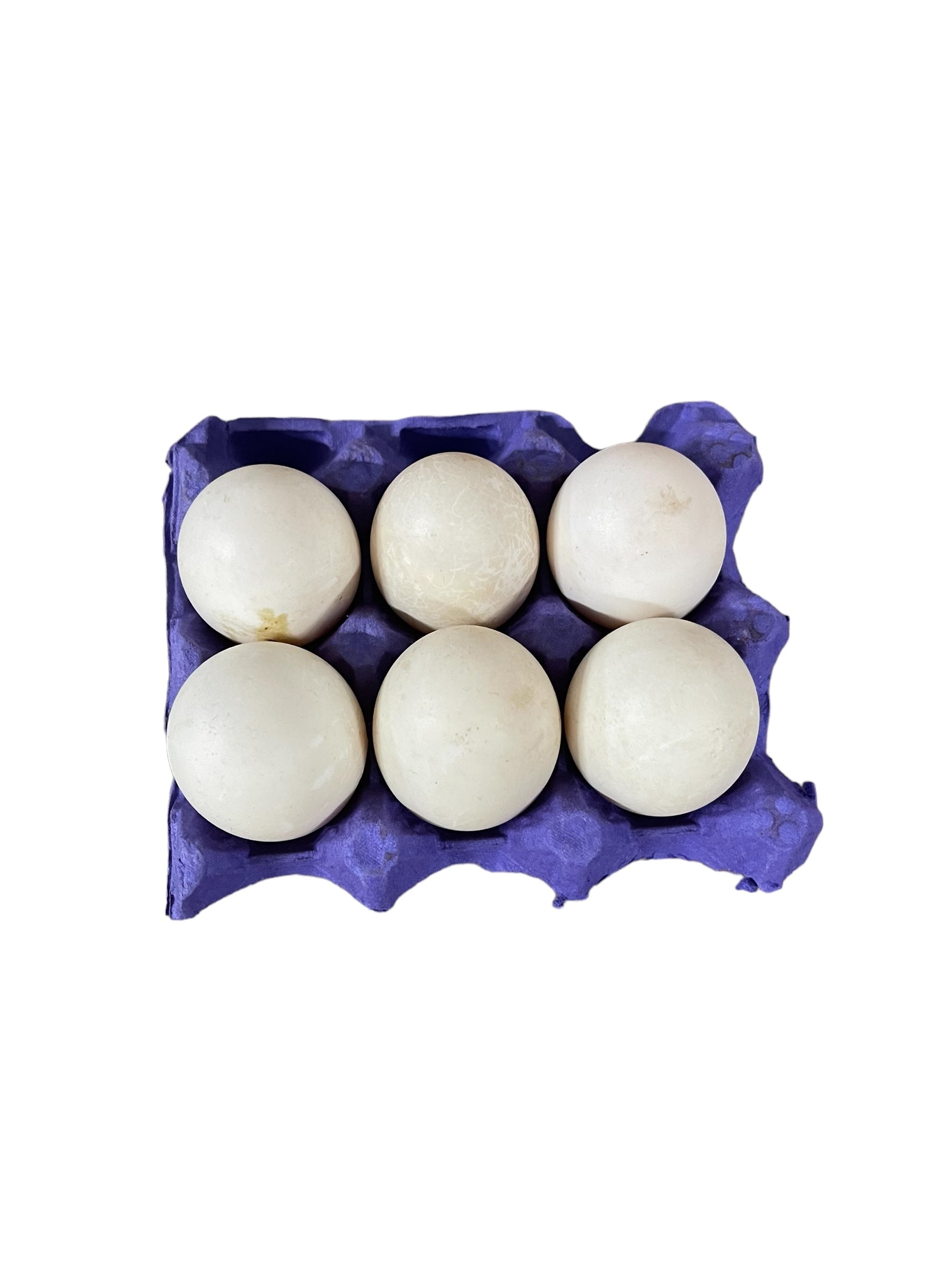 Fresh farm duck eggs in a blue carton