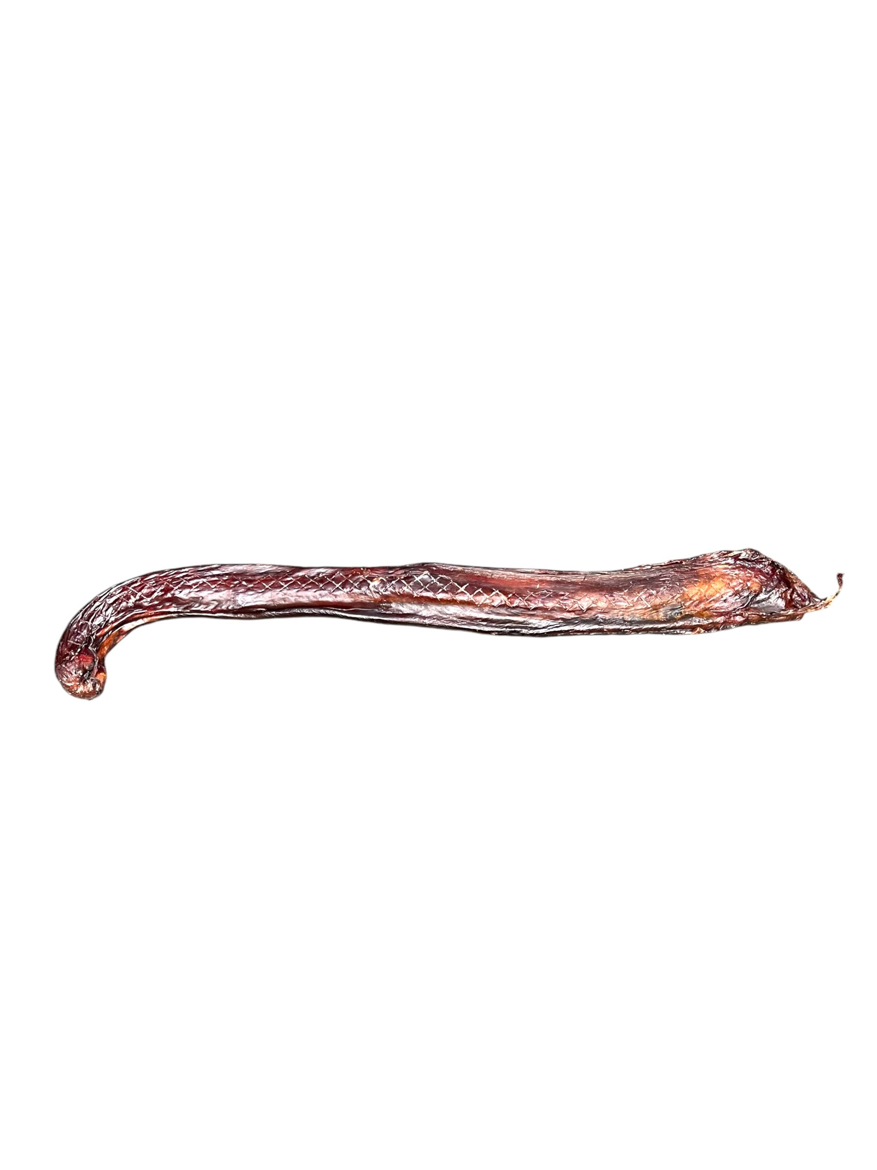 Long-lasting dog chew made from bull pizzle
