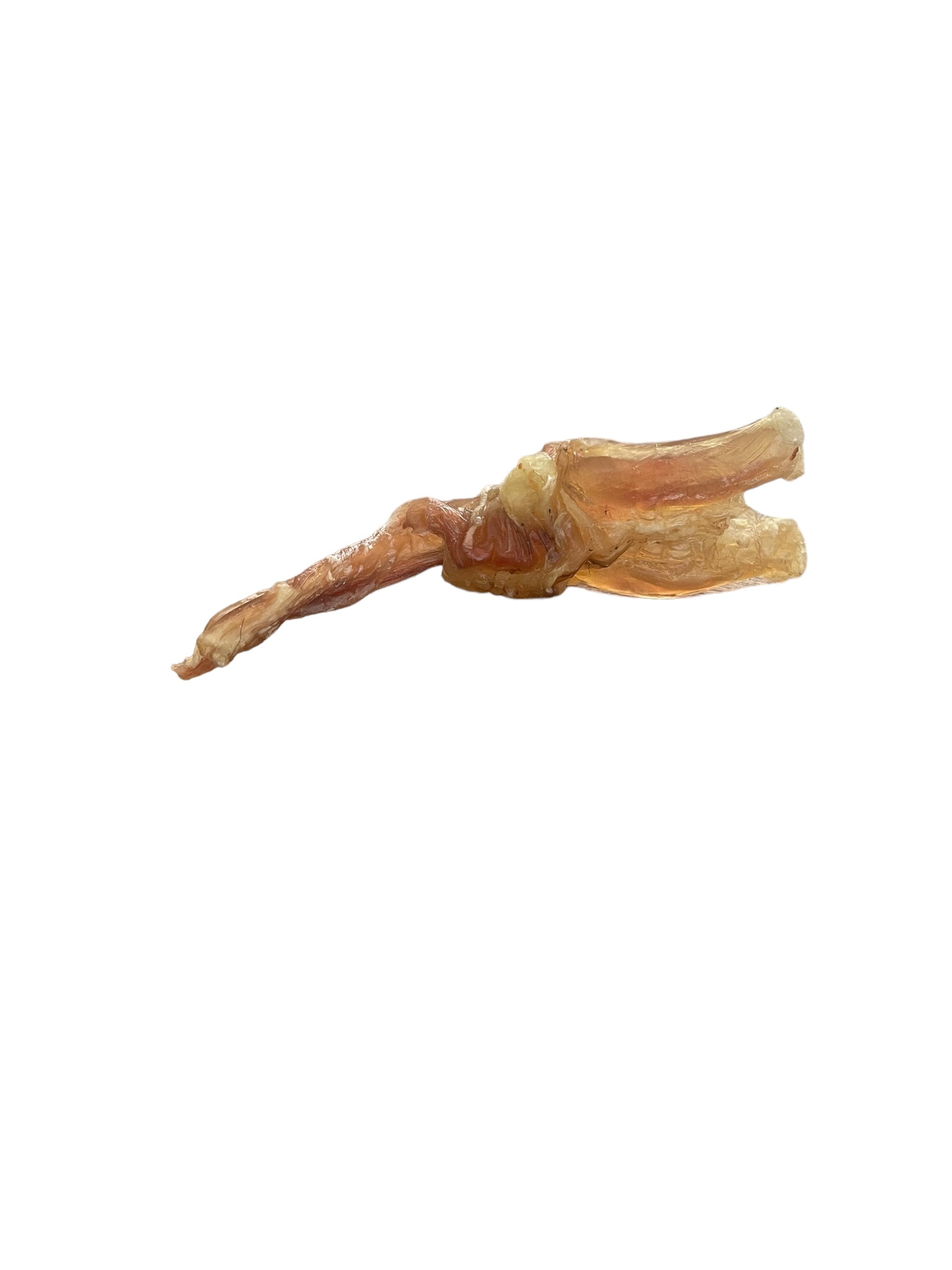 Close-up of dehydrated beef tendon dog chew