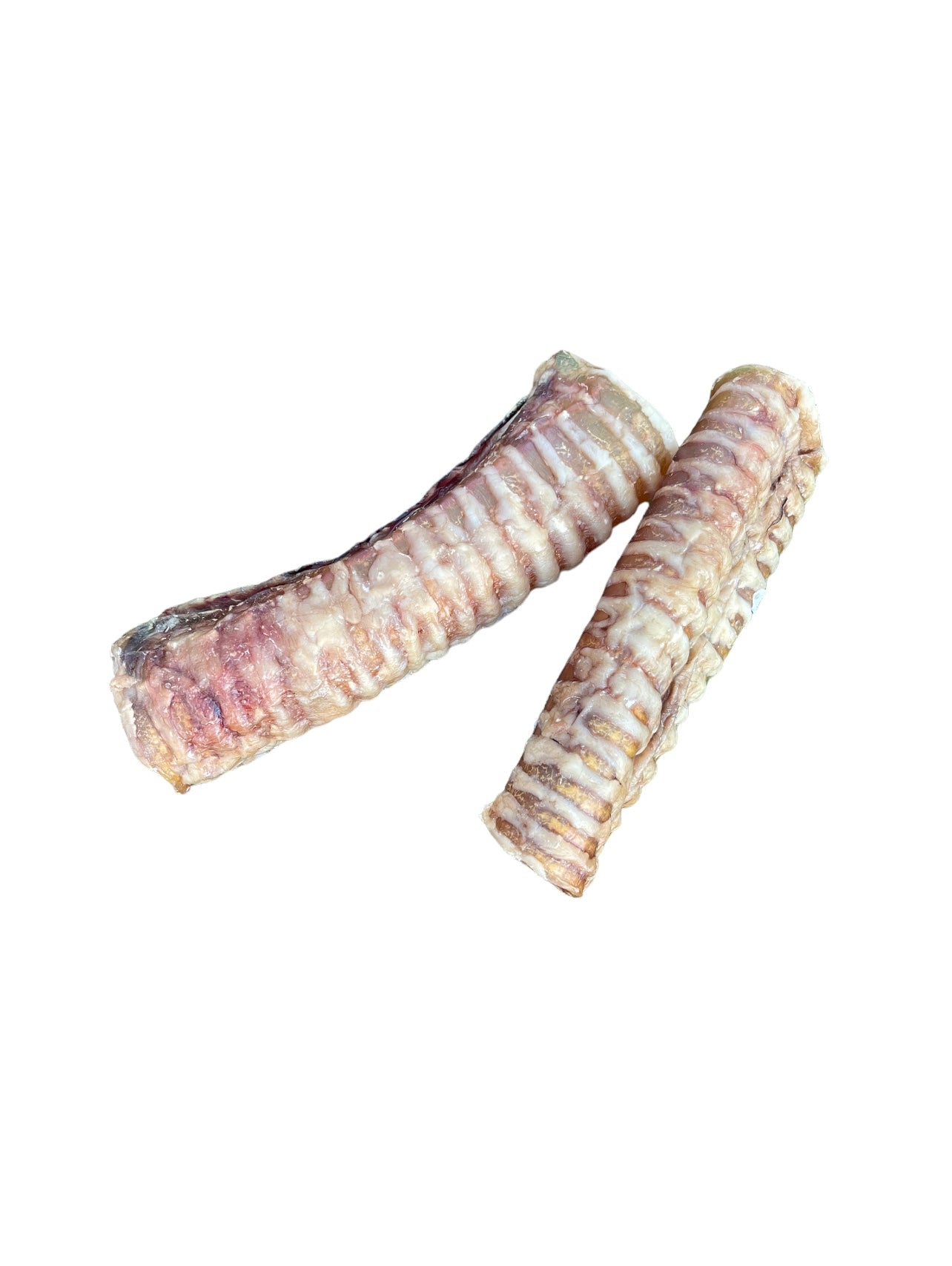 Two dehydrated beef trachea dog chew treat on white background