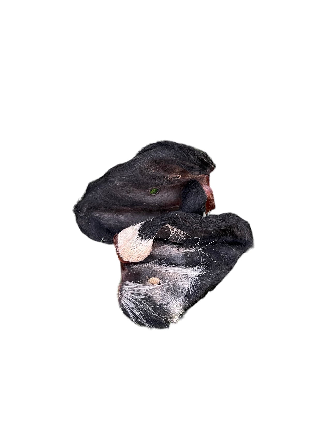 Close-up of beef ears with fur