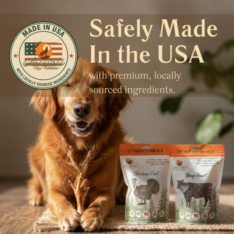 Dog sitting next to pet food packages with 'Made in USA' label