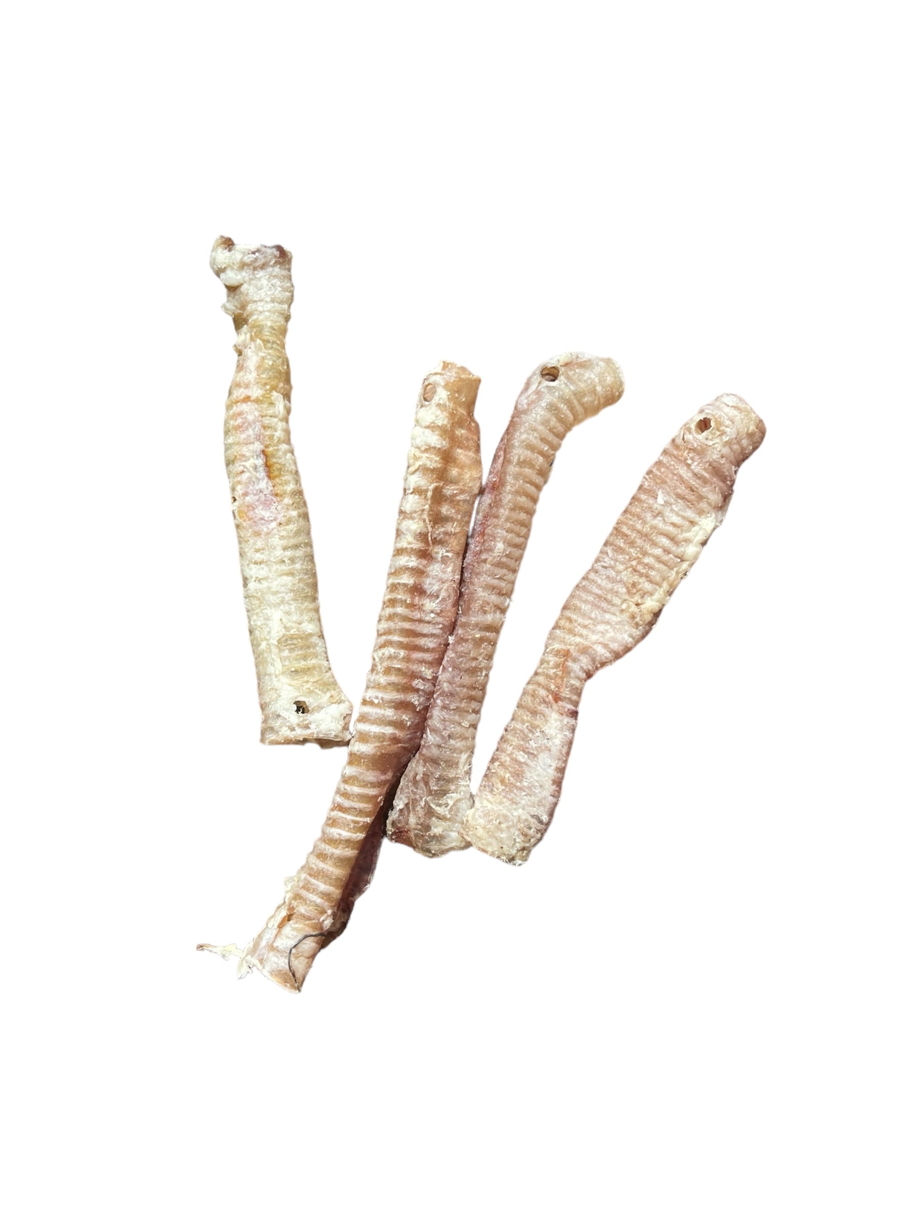 Dehydrated Lamb Trachea