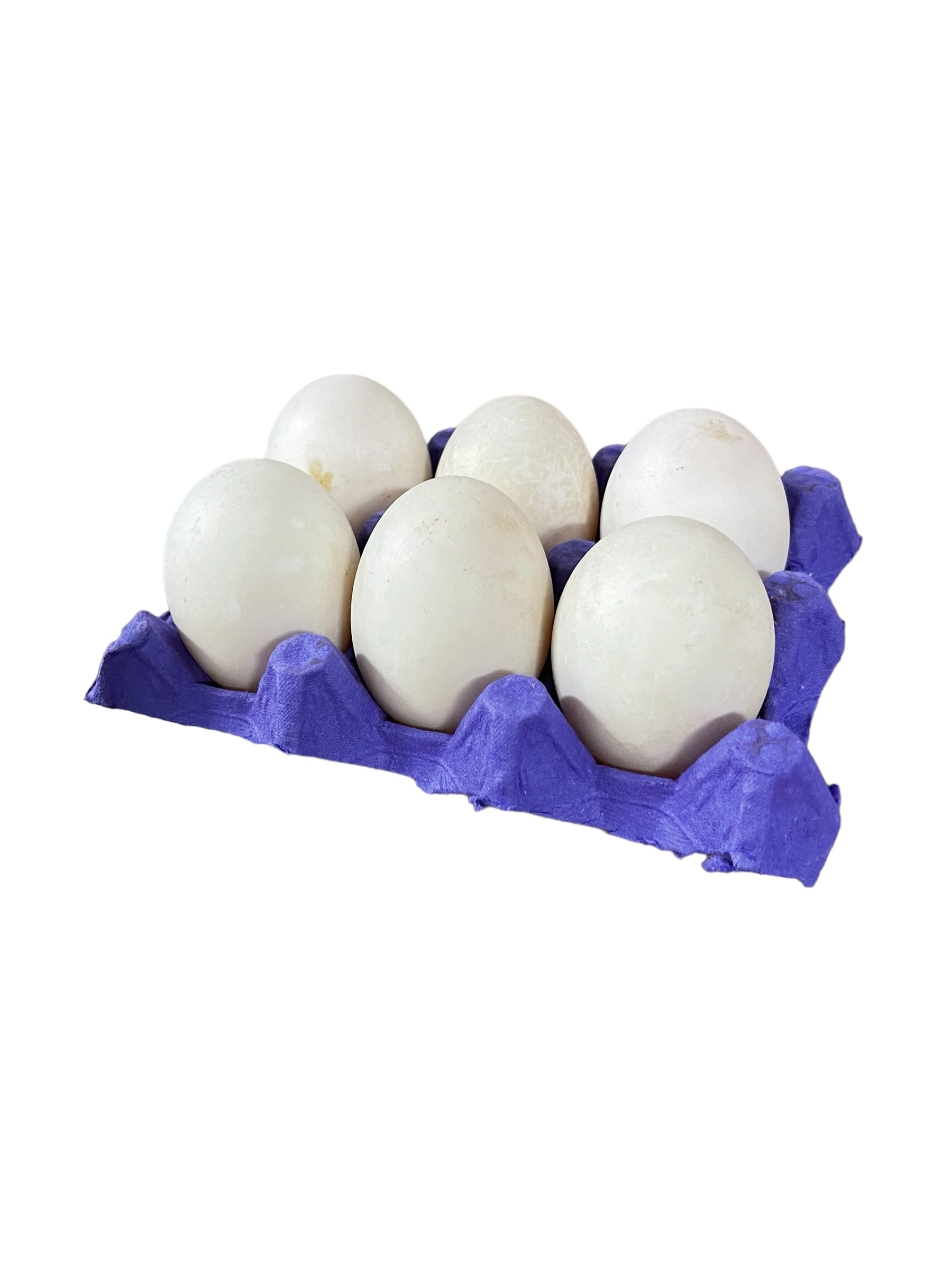 Fresh farm duck eggs in a blue carton