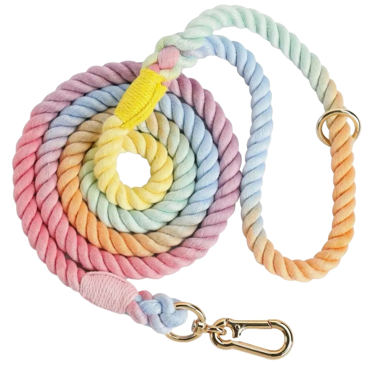Braided rope dog leash coiled on white background