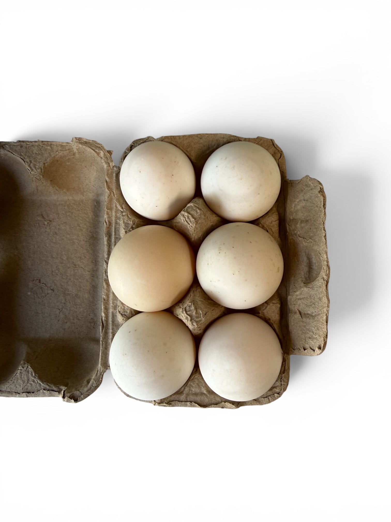 Farm Fresh Duck Eggs