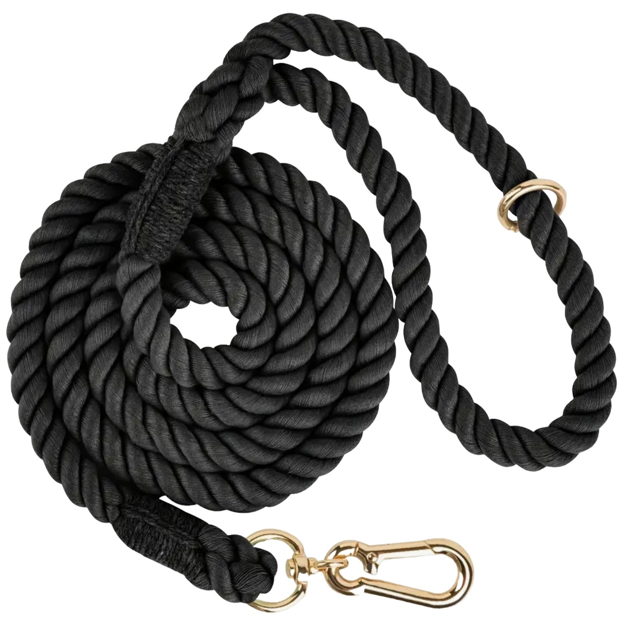 Braided rope dog leash coiled on white background