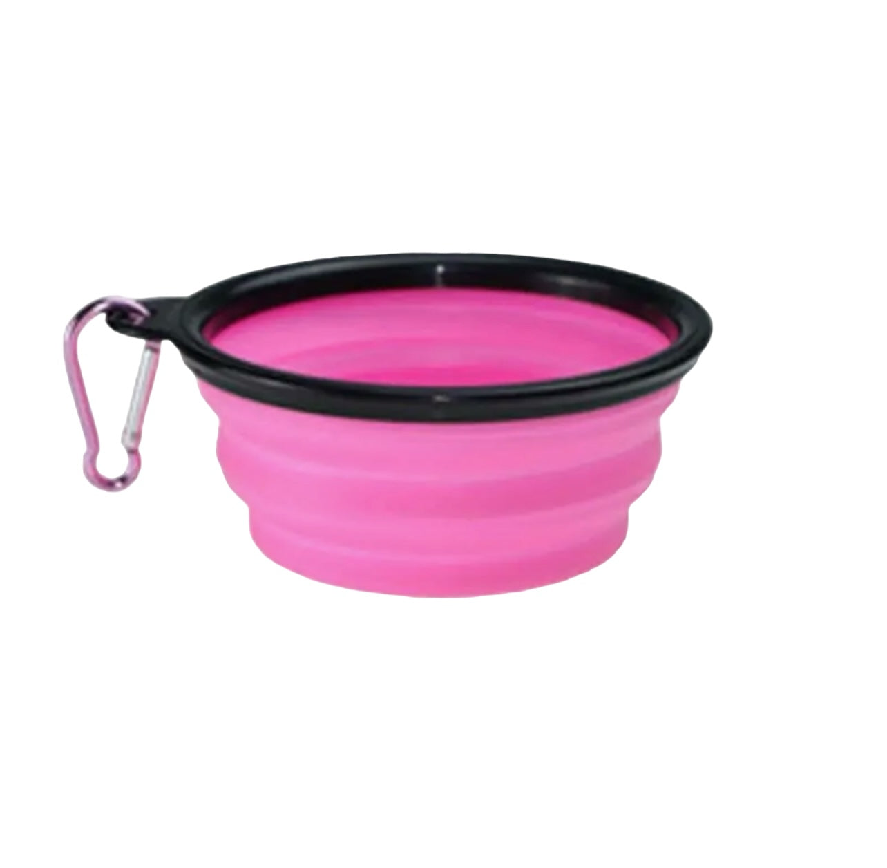 Foldable Travel Dog Bowl