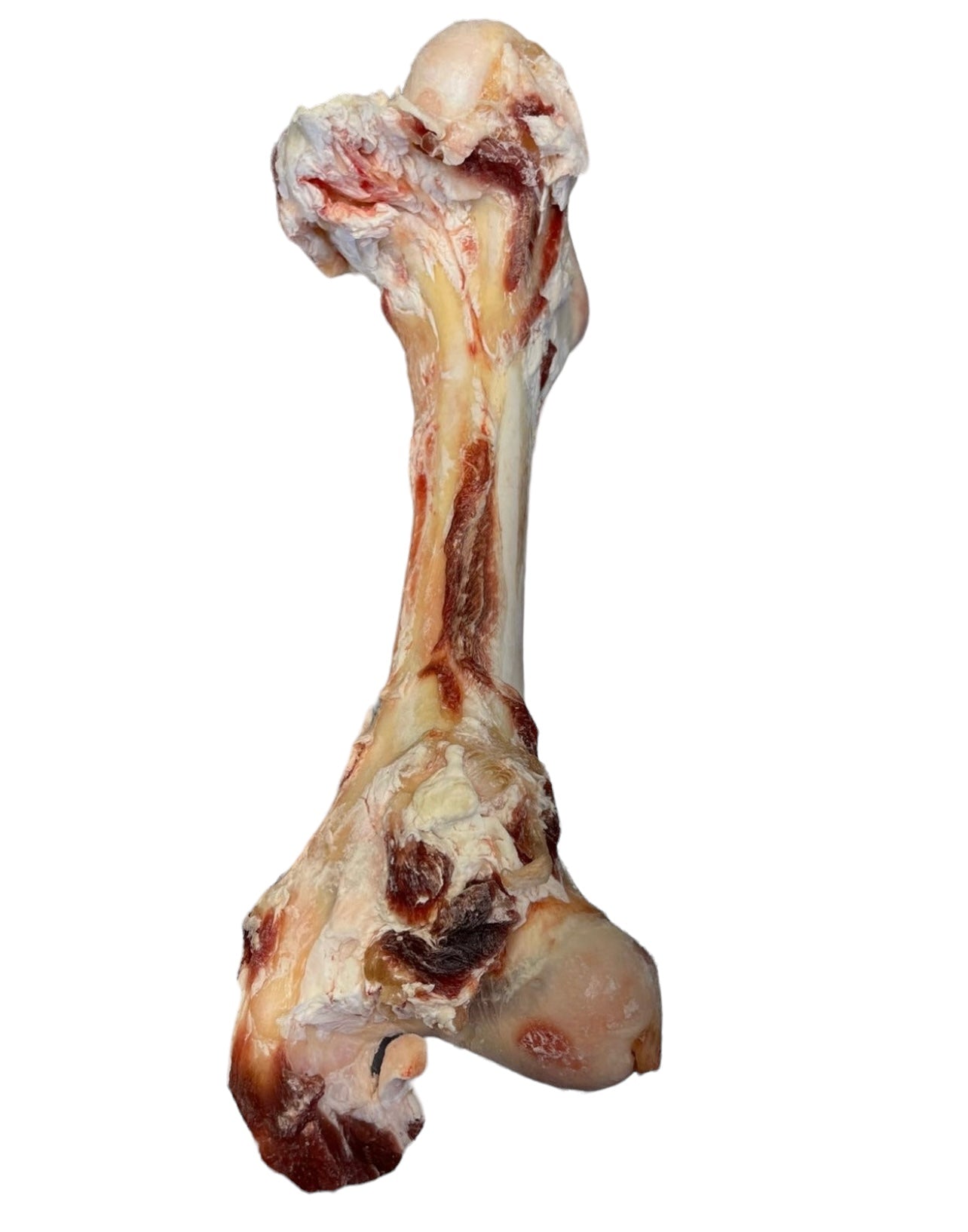 Raw Meat Beef Bones For Puppies Tucker's Frozen Beef Bones For Small Dogs, 6-pack – Tomlinson's Feed