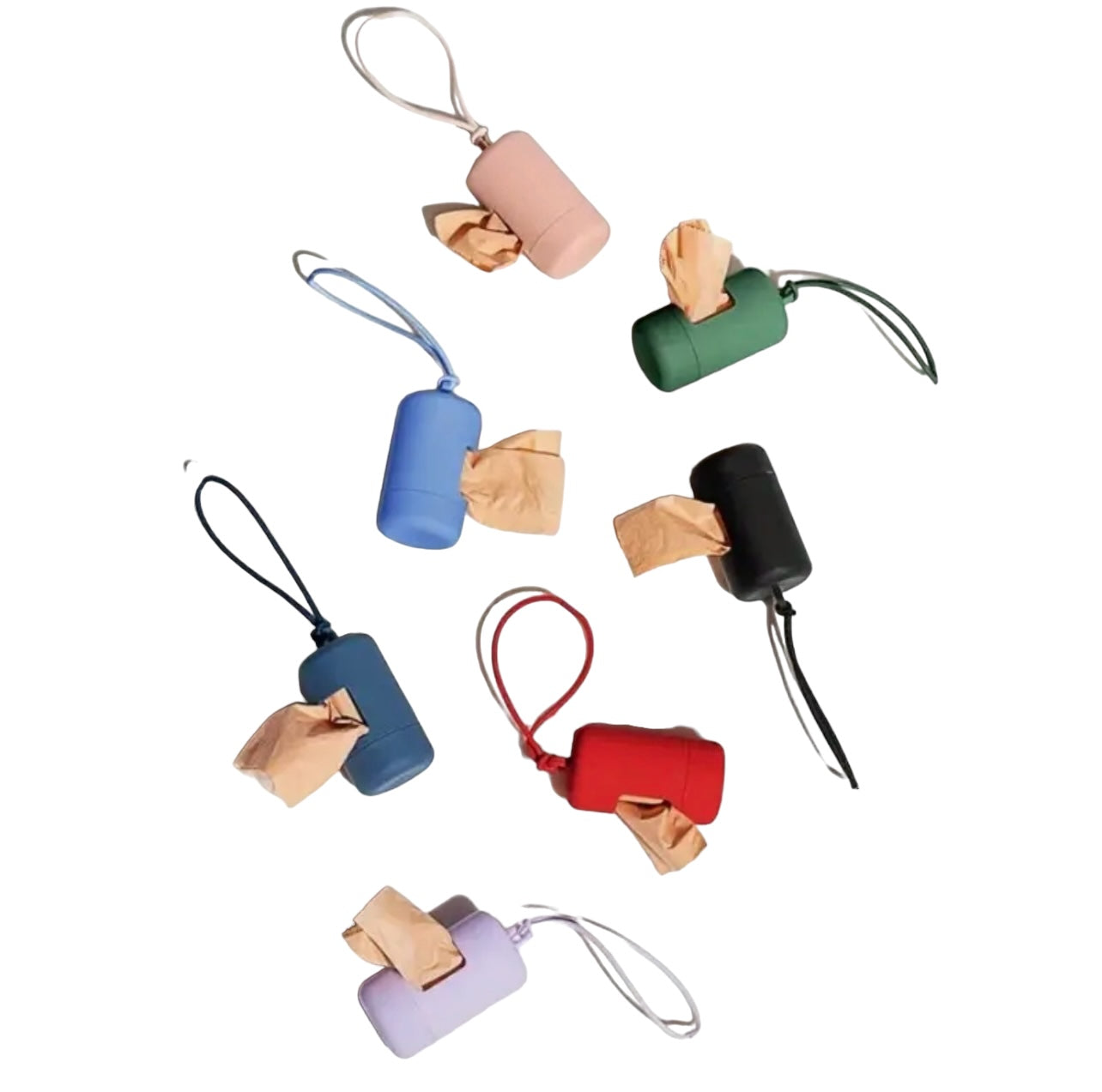 Dog Poop Bag Holder and Dispenser with Leash Attachment