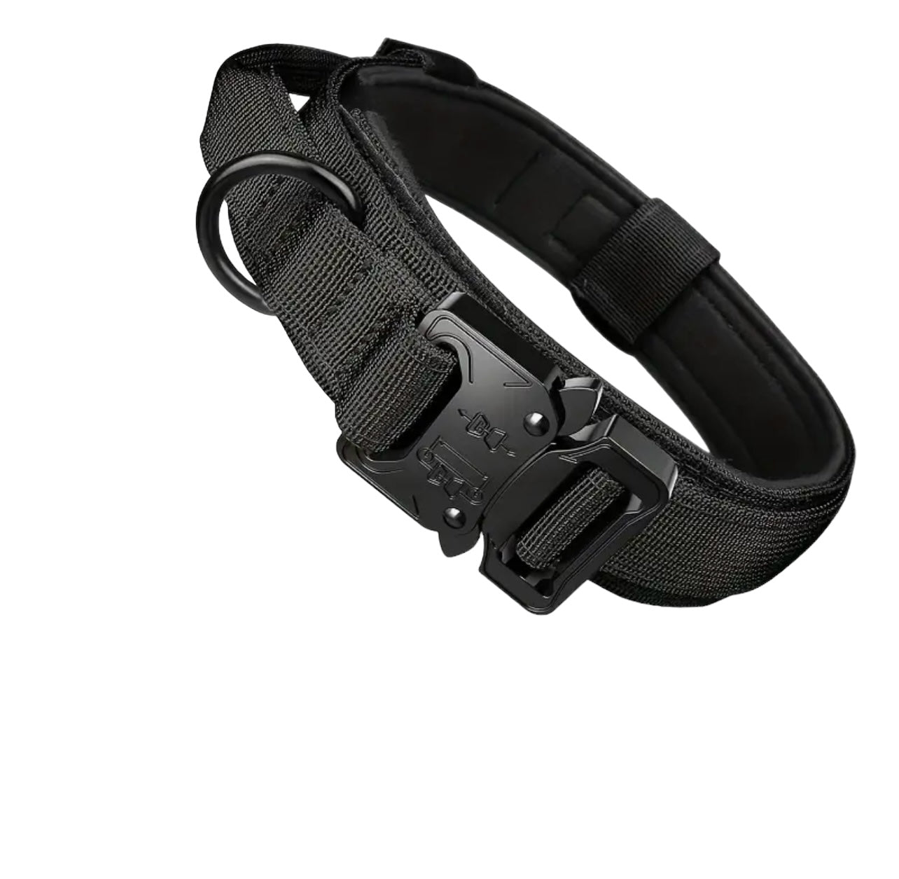 Close-up of metal buckle on tactical dog collar