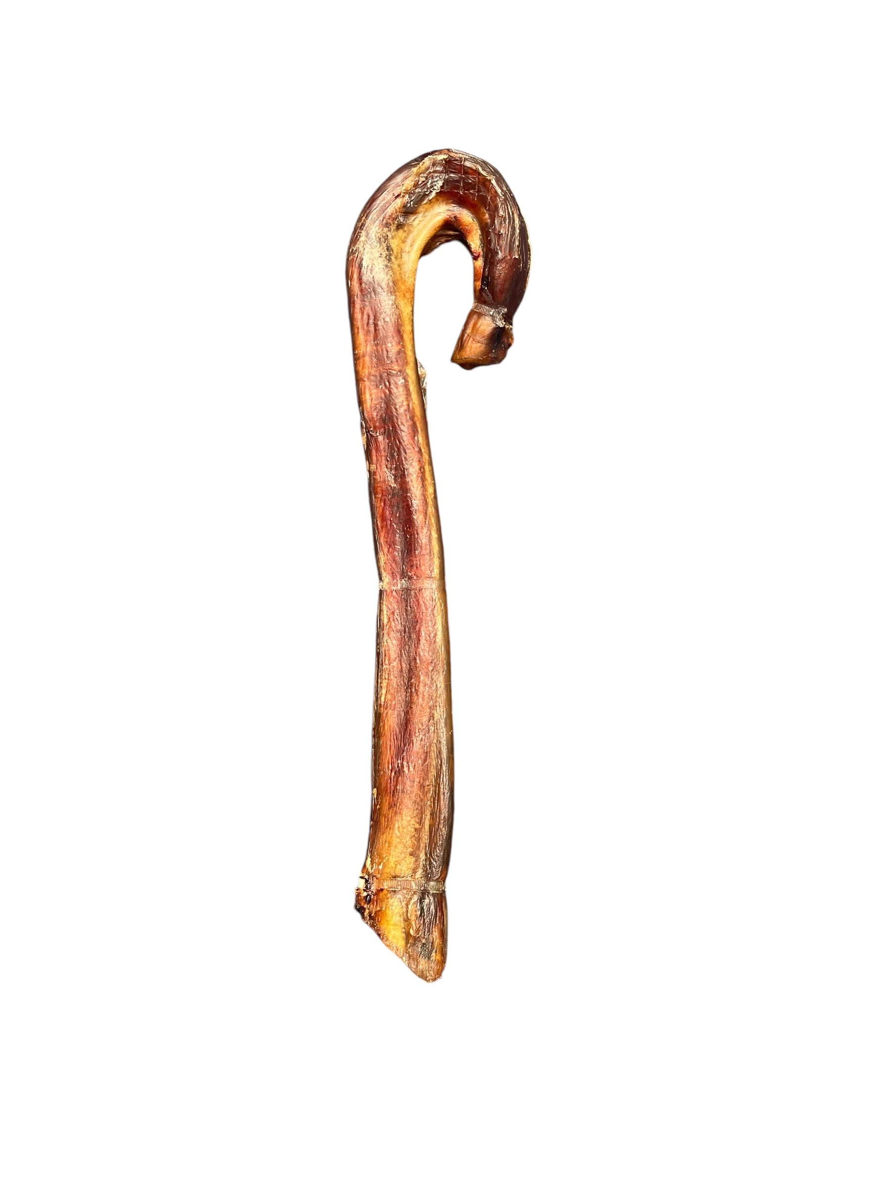 Long-lasting dog chew made from bull pizzle - candy cane