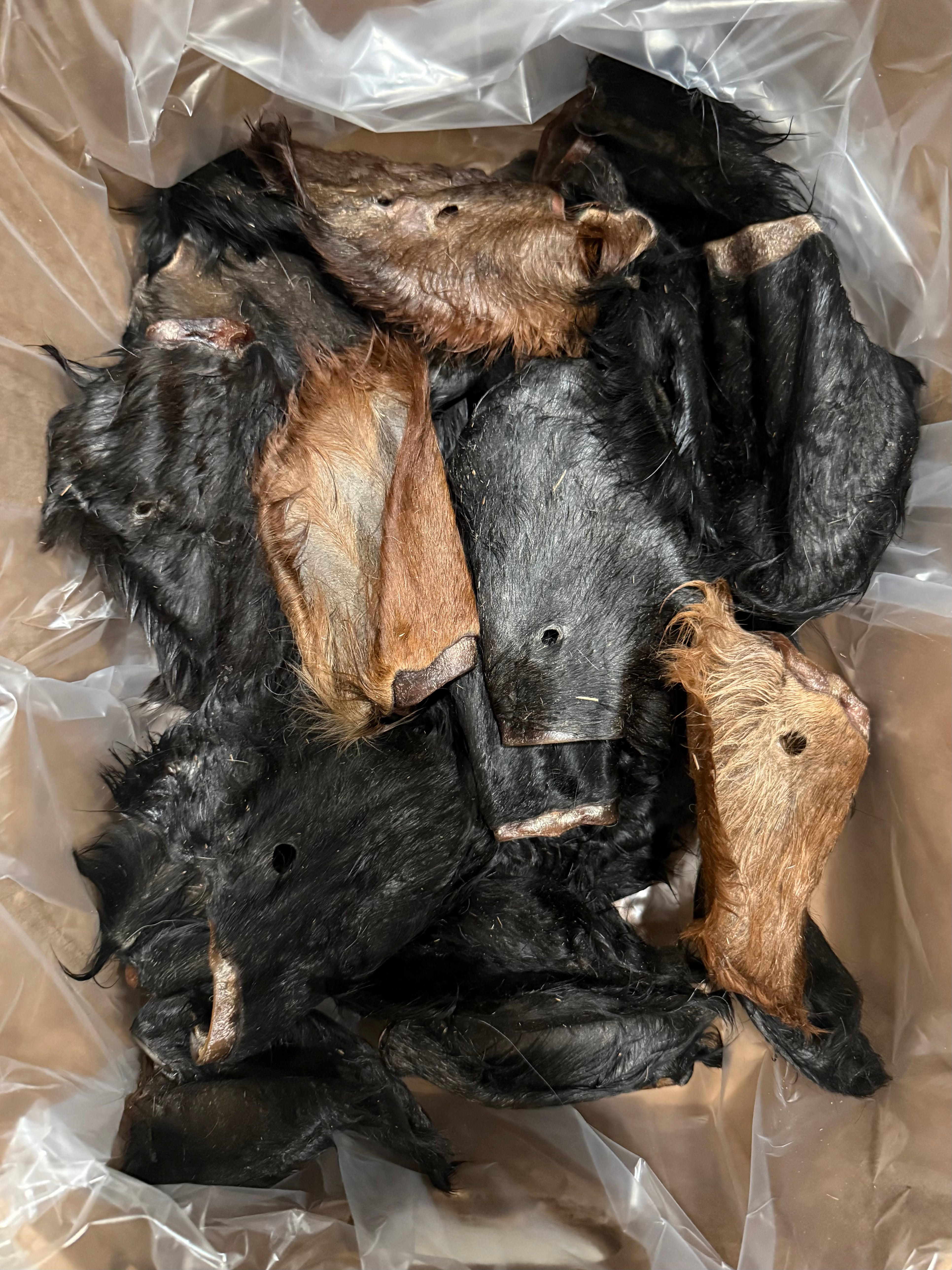 Dehydrated Beef Ears 25 count Bulk