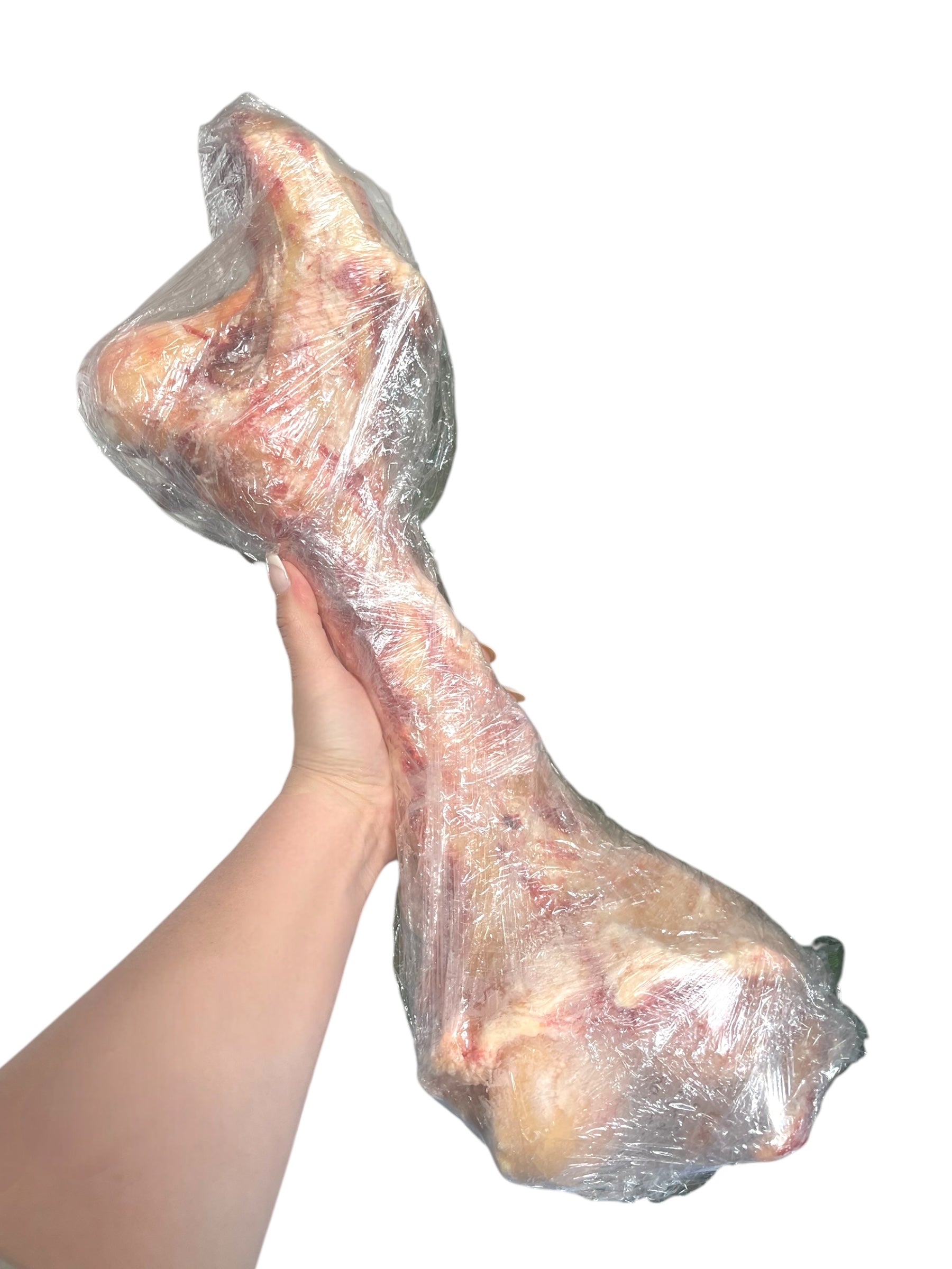 100% natural beef femur bone for dogs – frozen and sealed