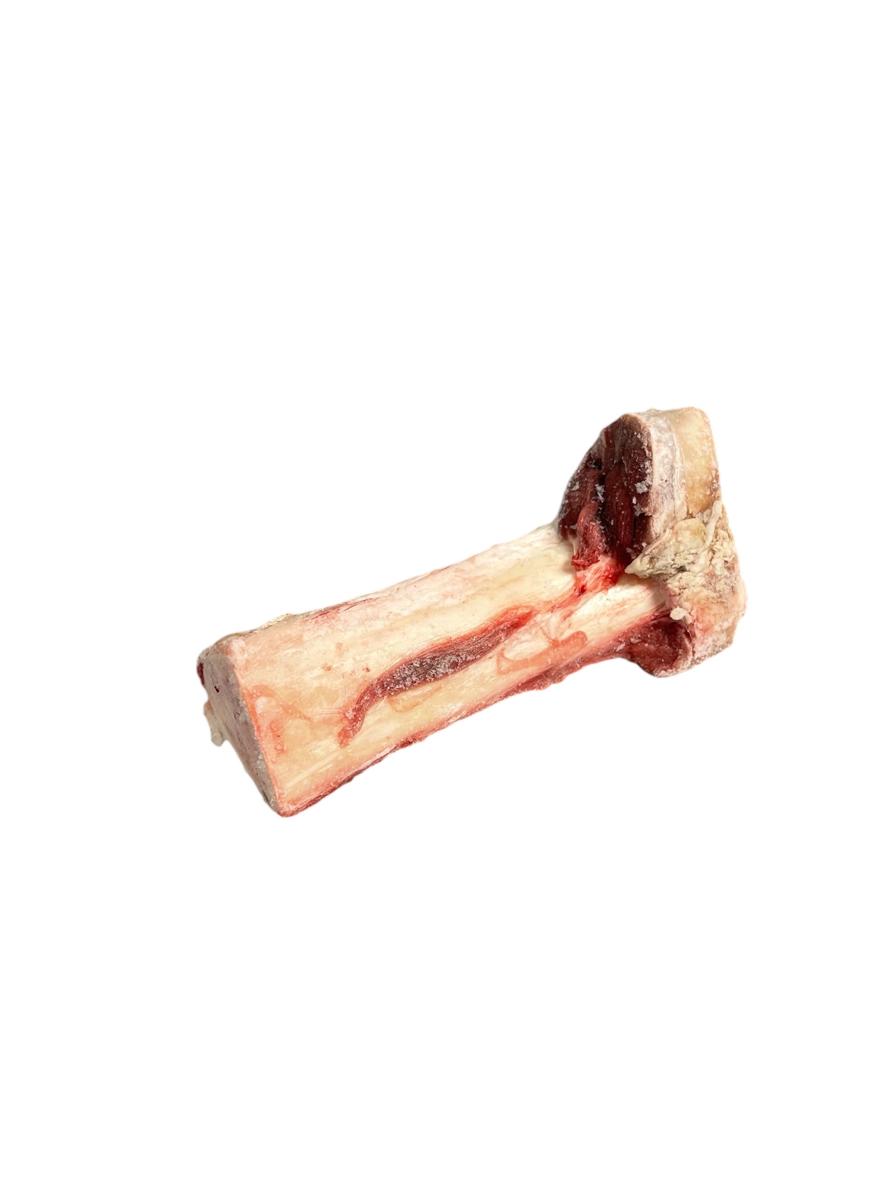 Close-up of raw beef bone showing texture and marrow