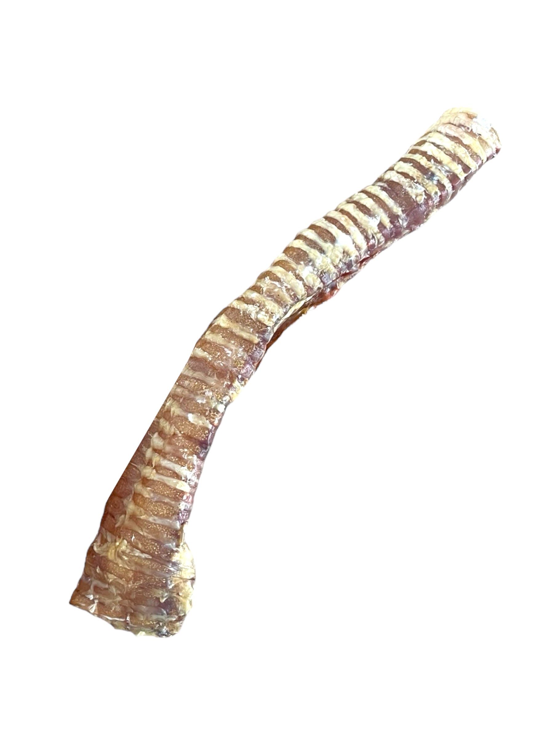 Close-up of natural dehydrated beef trachea dog chew