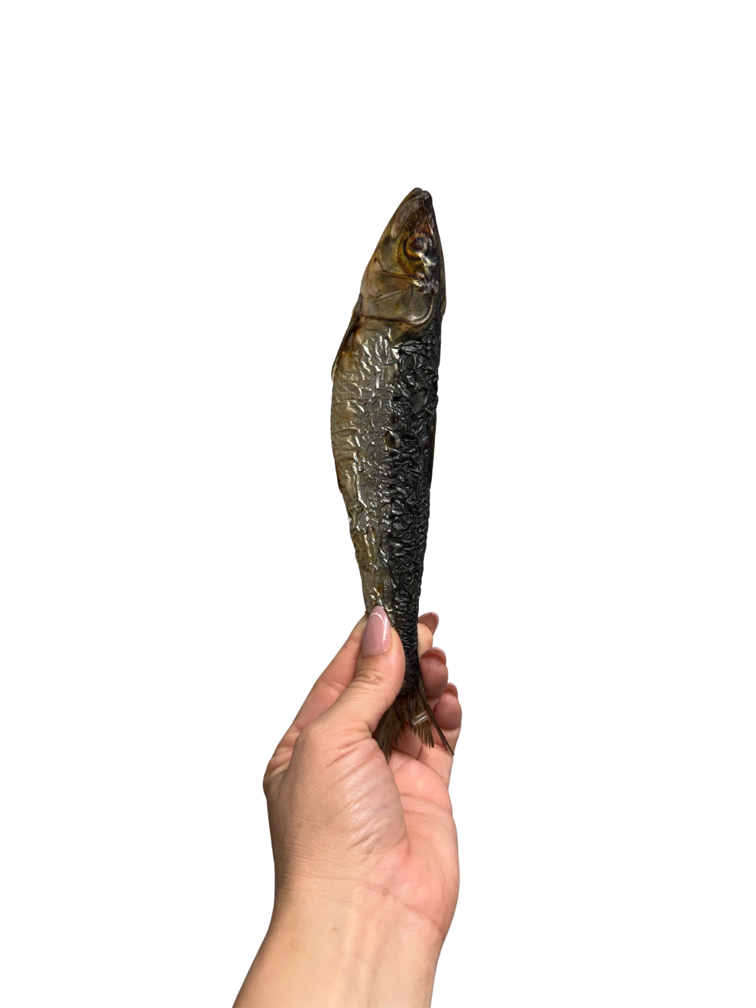 Dehydrated Sardines 5 Pound Bulk