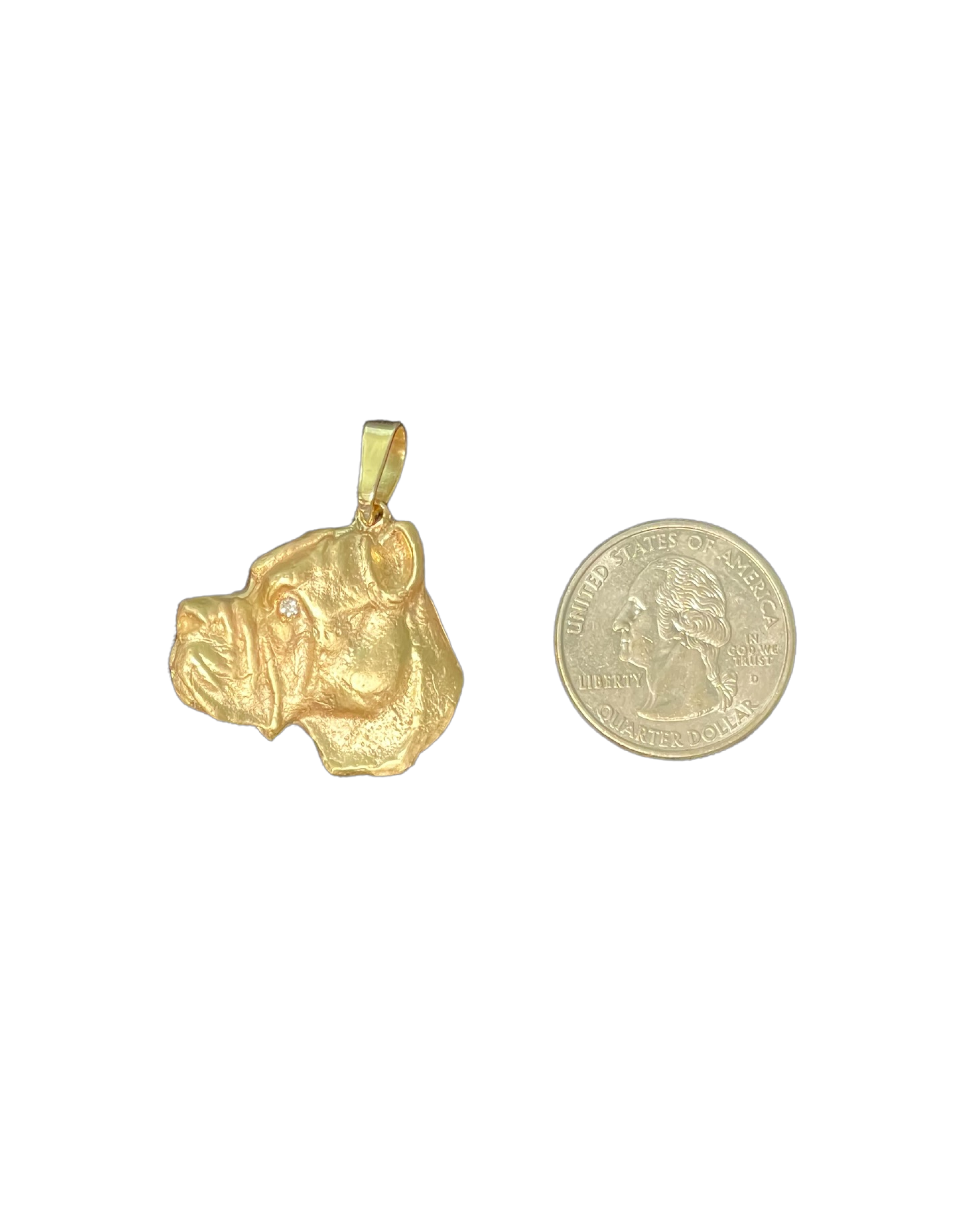 14k Gold Cane Corso Pendant with Diamond Eye