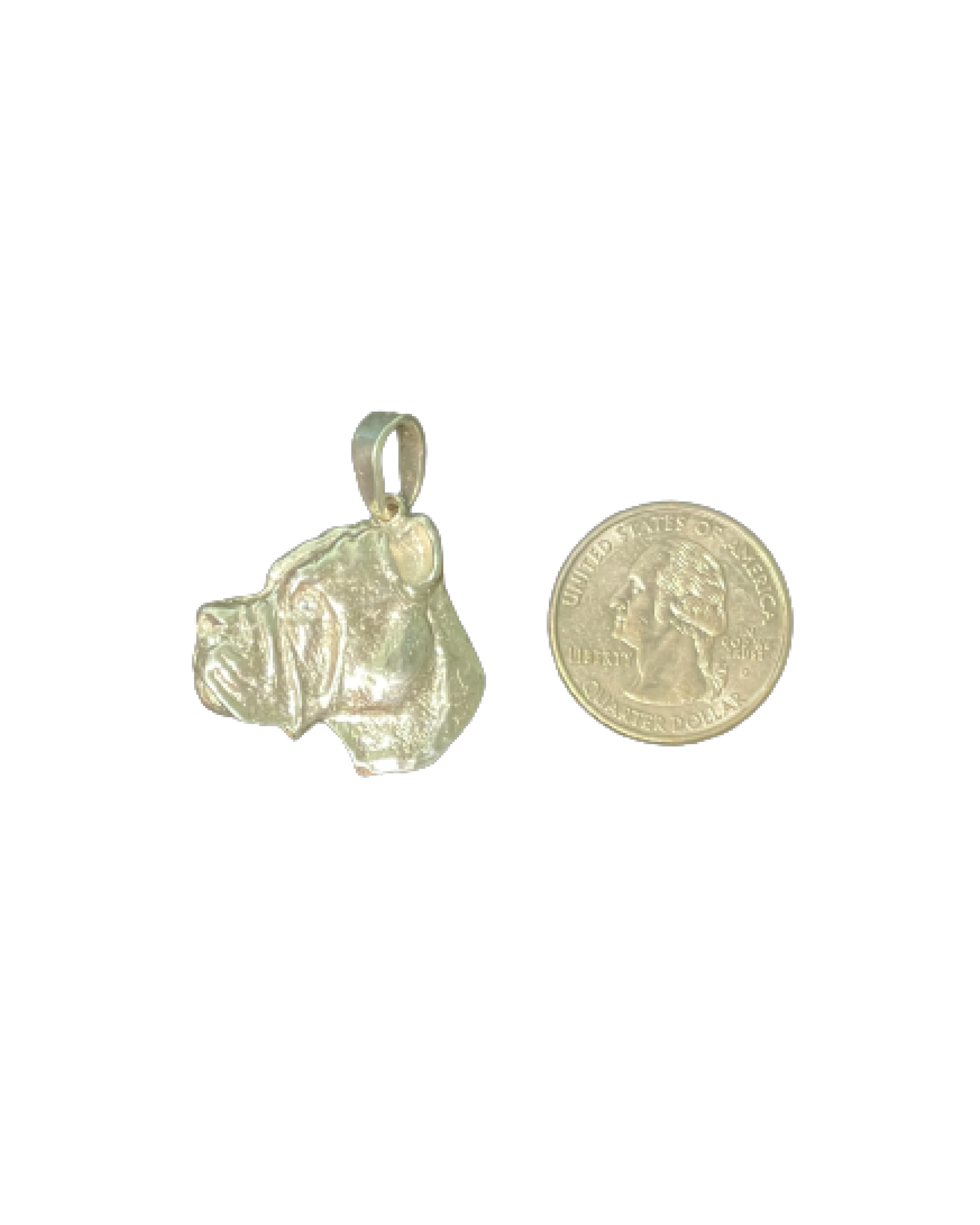 Silver 925 Cane Corso Pendant with Diamond Eye