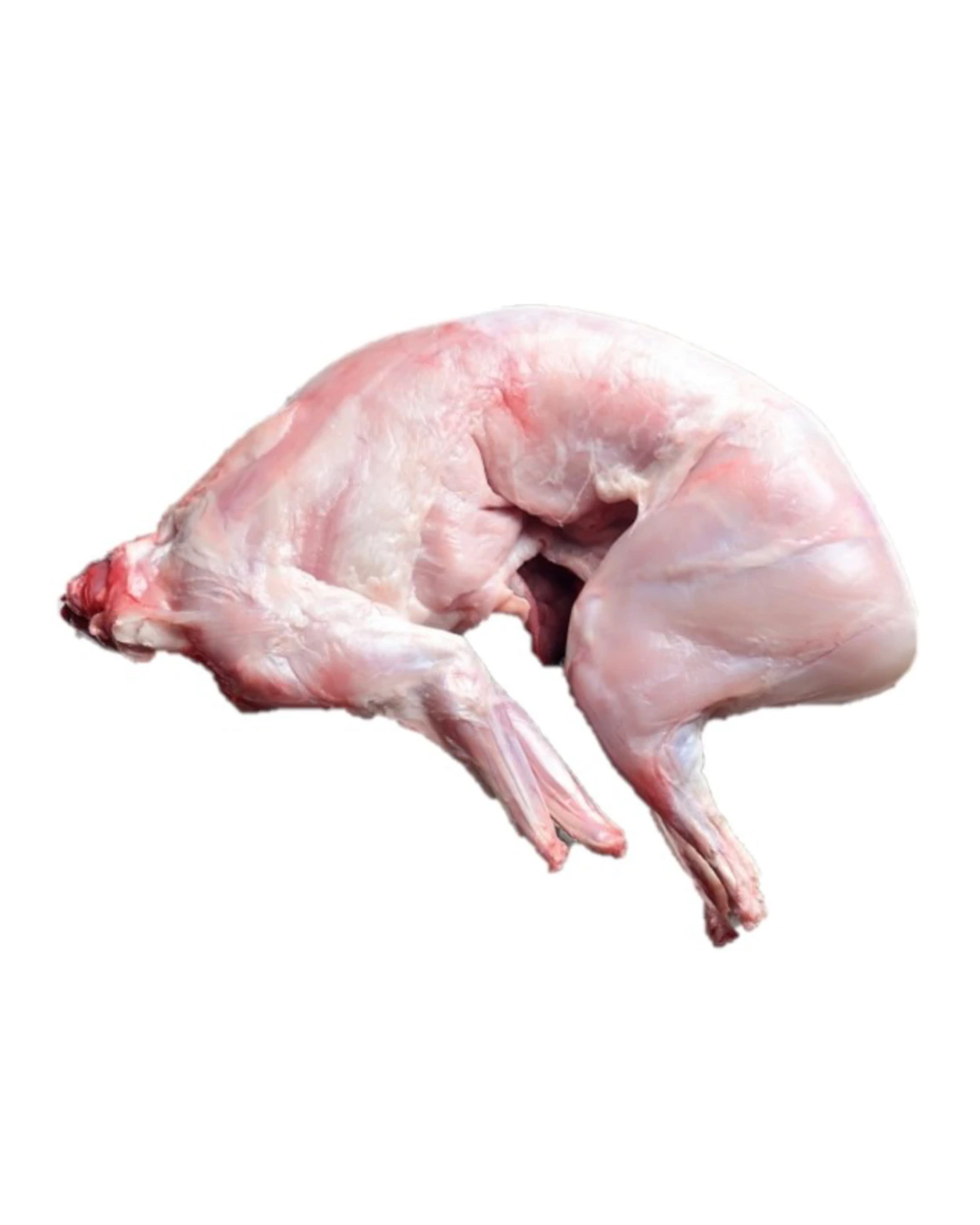 Raw whole prey skinned rabbit frozen and ready to feed