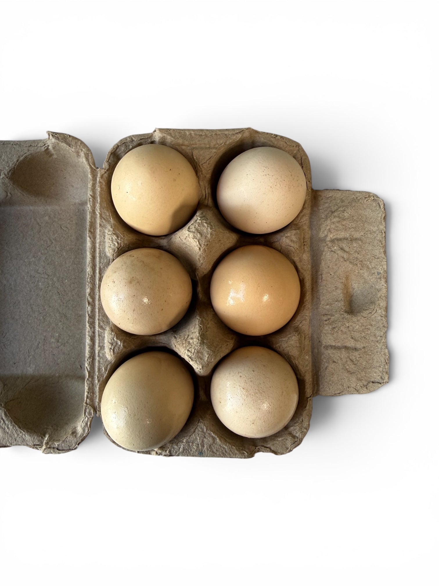 Farm Fresh Chicken Eggs