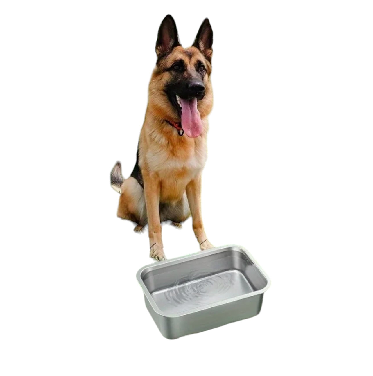 Heavy Duty Stainless Steel Dog Bowls