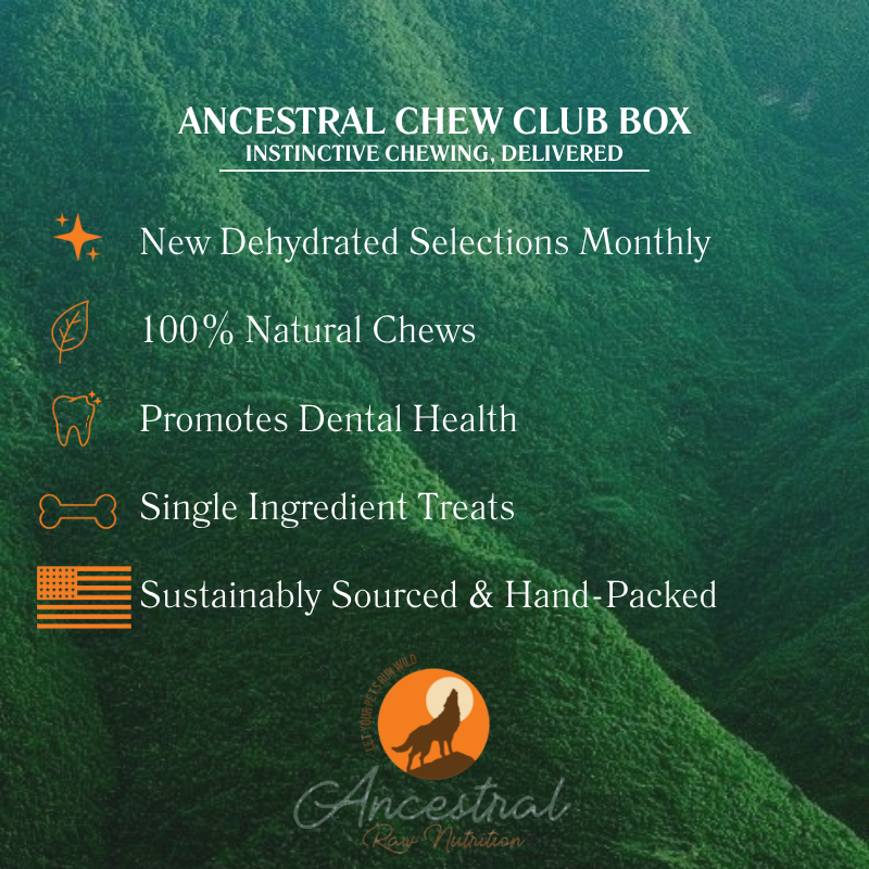Ancestral Chew Club