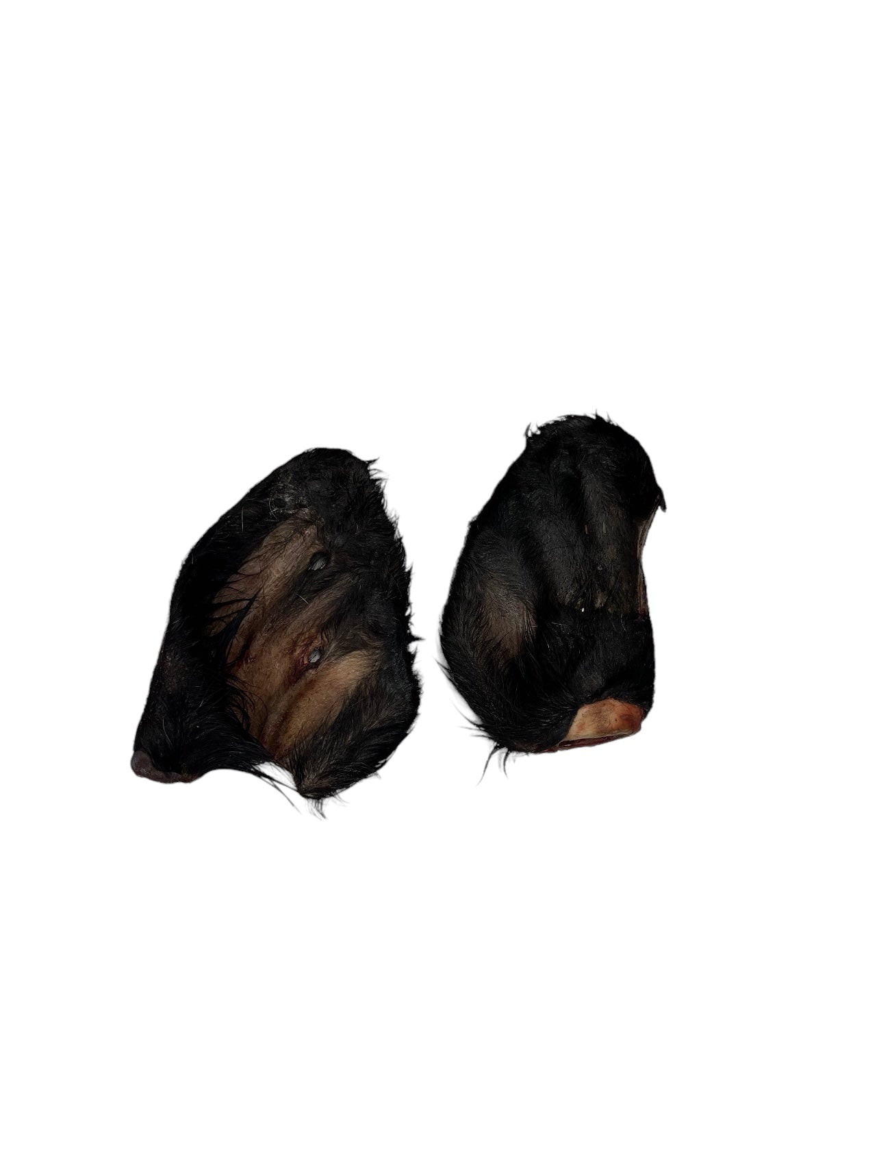 Raw Beef Ears