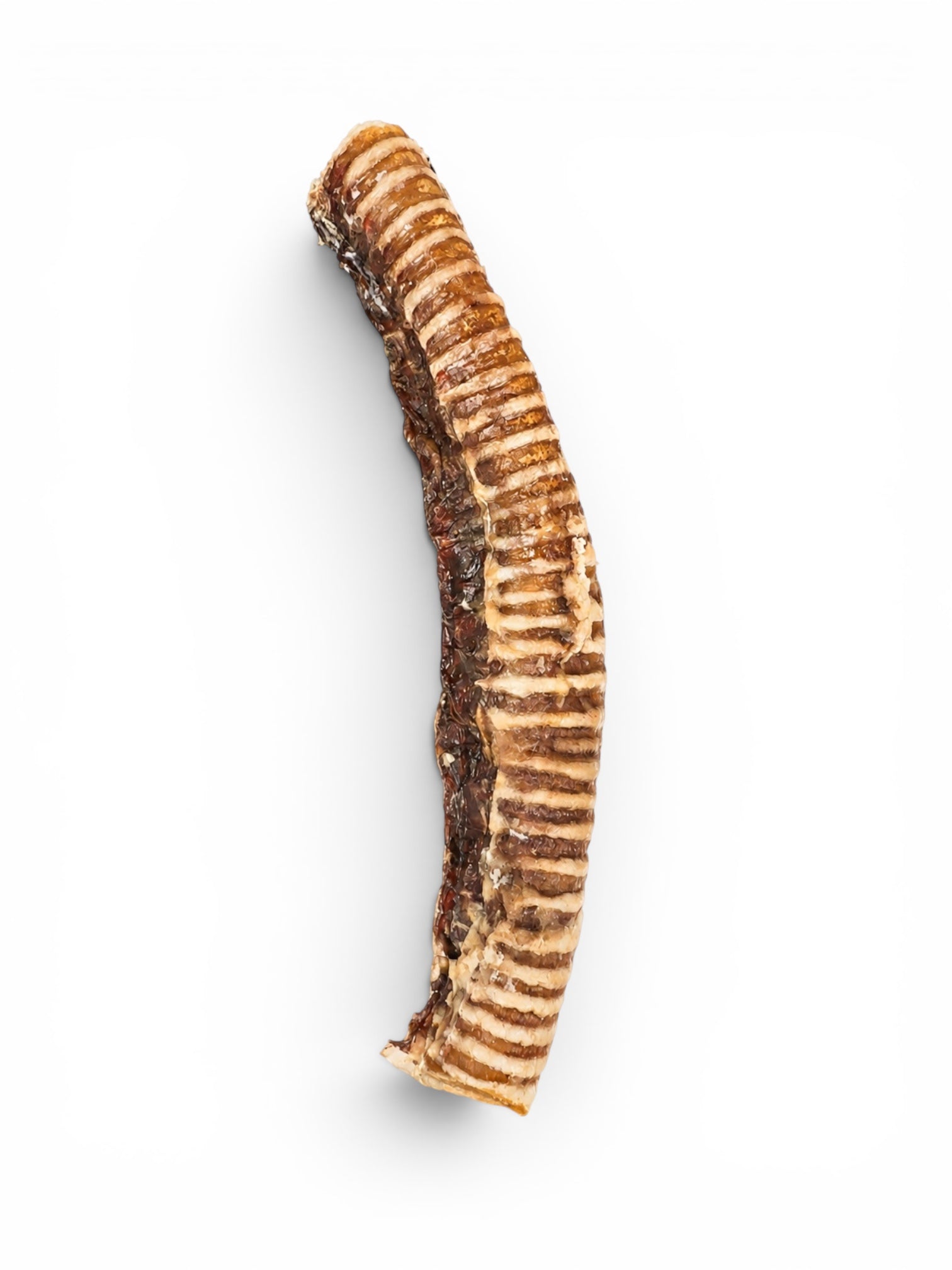 Dehydrated Beef Trachea