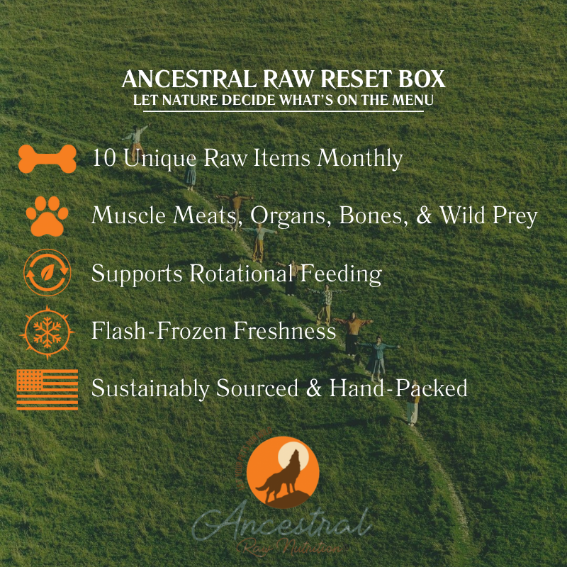 Ancestral Raw Reset Box