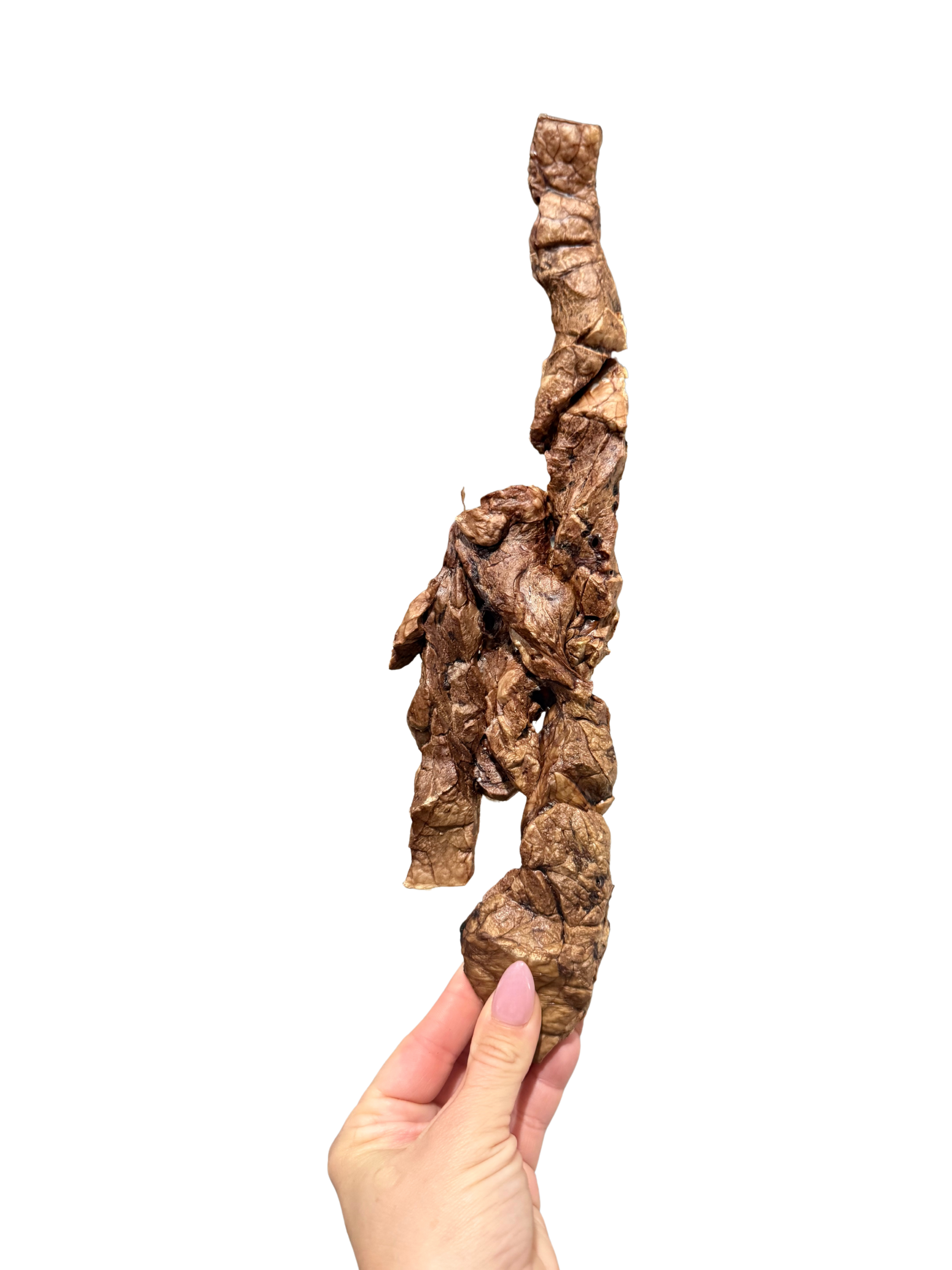 Dehydrated Beef Lung 1 Pound Bulk